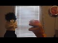 Omblar Forgets That He S Special
