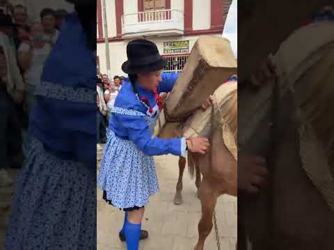 🐴🔥 ¡ARrieros EN ACCIÓN! Tibaná, Boyacá, se viste @estadosunidos8780 