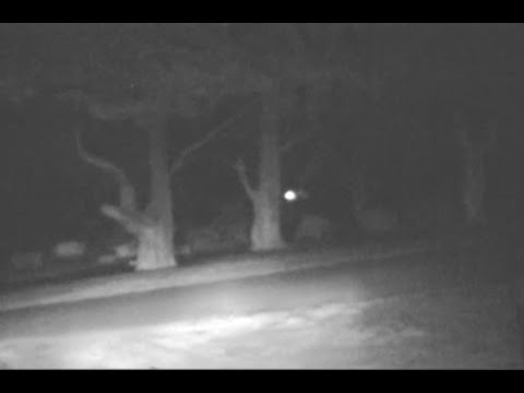 Bosque Bello Cemetery Video 1
