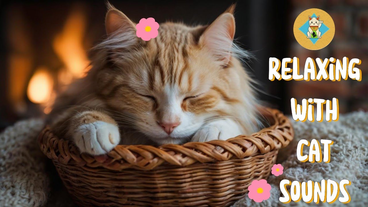 Soothing Music for Cats 🎵 Relaxing Sleep Sounds for Cats