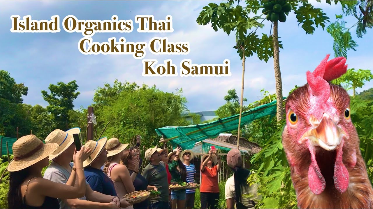 Immerse yourself in a traditional Thai cooking class in the exotic Koh Samui.