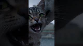 Episode-6: Tabby &amp; Milo’s Sydney Storm Scare! 🐱🐺 Cute Cat &amp; Wolf Vacation Series!!