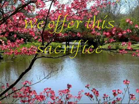 How beautiful-Paris Twila