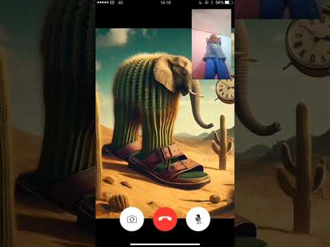 Liri lira lira 🌵🐘