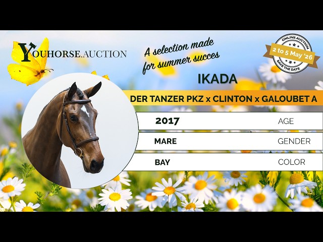 Ikada