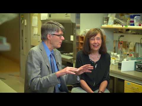 LSBC Awards 2018: Dr. Don Rix Award for Lifetime Achievement - Drs. Connie & Allen Eaves