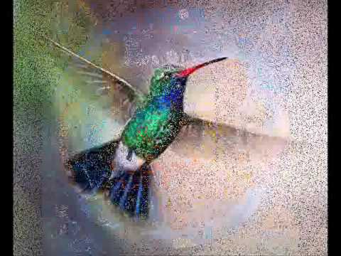 Elevei meu pensamento   Santo Daime