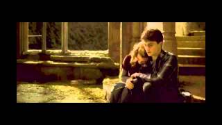 Harry y Hermione - Nicholas Hooper