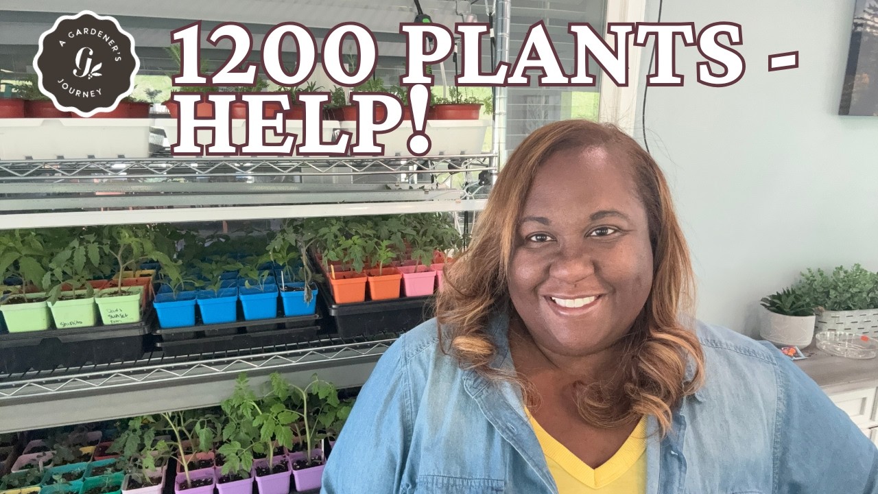 My Garden Plan for 1200 PLANTS| Summer Garden