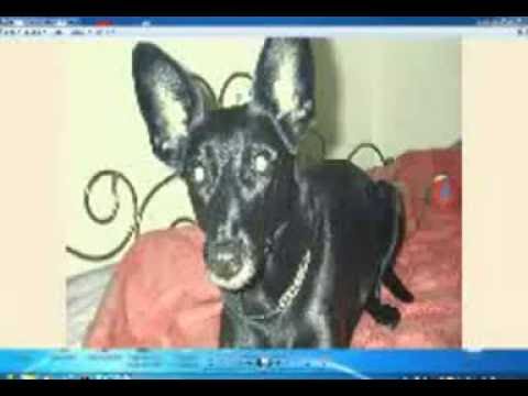 MIX-226 - Beat Herren&Bassjunkie, Mono,Shiva Chandra, (146 Bpm) (MIX SET BY DJ HELMIC - 06.08.2016)