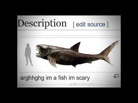 (SIGILKORE) ISLURWHENITALK X 4JAY- HOK XXTRIPPER PARTY (PROD. 4JAY)