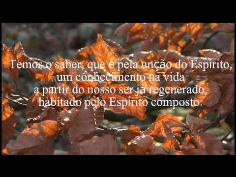 Hino C- 87 Santa unção  - Eav