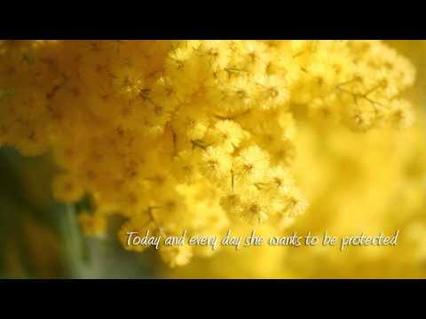 Pole Folder feat Sandra Ferretti - Protected