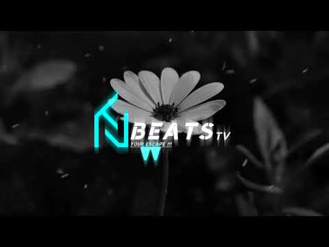 Puri x Kilate Tesla x Kalibwoy - Palo ( #T×k & #Nik×l B.Gift )