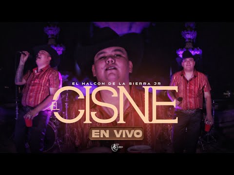 El Halcon De La Sierra Jr - El Cisne (Video En Vivo)