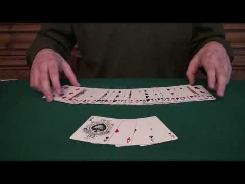 Steve Forte gambling demo