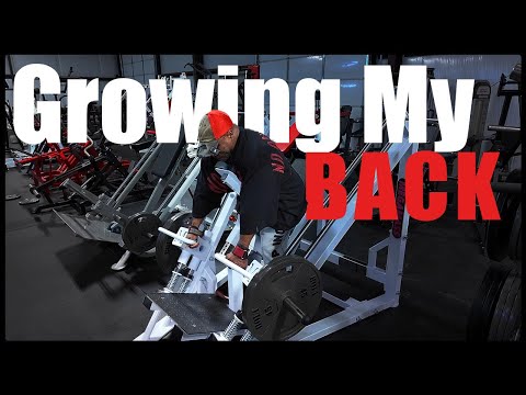 How I Grew My Back| Let's Work Back|  Shaun Clarida