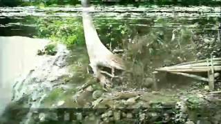 Download lagu Air Terjun Rejoso mp3