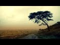 Foreigner - Tramontane - Chris Dave White Foreigner - Tramontane