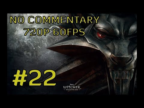 The Witcher: Enhanced Edition #22