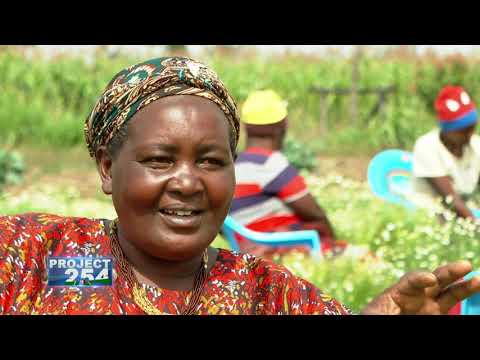 PROJECT 254, Episode 76 - IRRIGATION PROJECTS IN NYANDARUA, NYERI AND LAIKIPIA