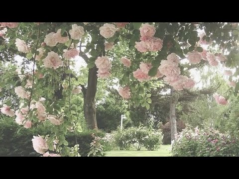 running away from home tiktok comp (#1)