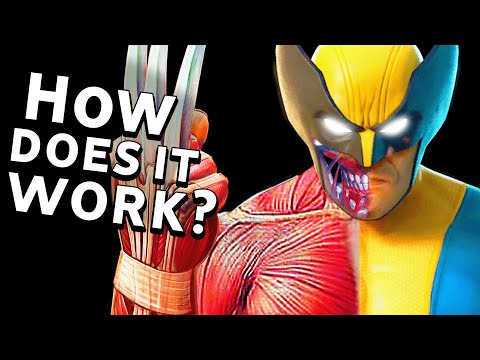How Wolverine's Healing Factor Works (With Science)