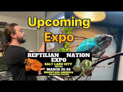 Upcoming Expo