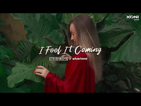 Steven Roys & Silvertone - I Feel It Coming (Official Music Video)