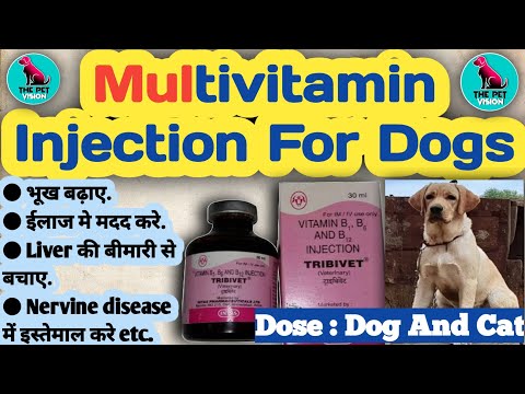 multivitamin for dogs || multivitamin injection for dogs || multivitamins of dogs || dose rate/route