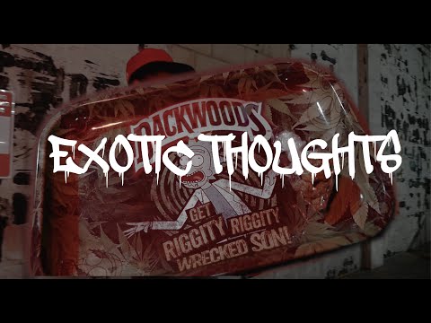 Exotic Thoughts -KB00BABY(Official Music Video)