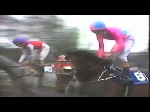 1992 VRC L K S Mackinnon Stakes