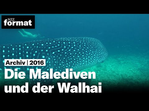 Die Malediven und der Walhai (2016)