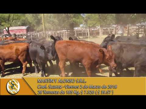 02-03-18 Venta de Hembras - Martin y Alonso S.R.L. - Cnel. Suarez.