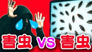 【緊急】ワモンゴキブリウイルスが暴走！サポート詐欺と全面戦争突入…