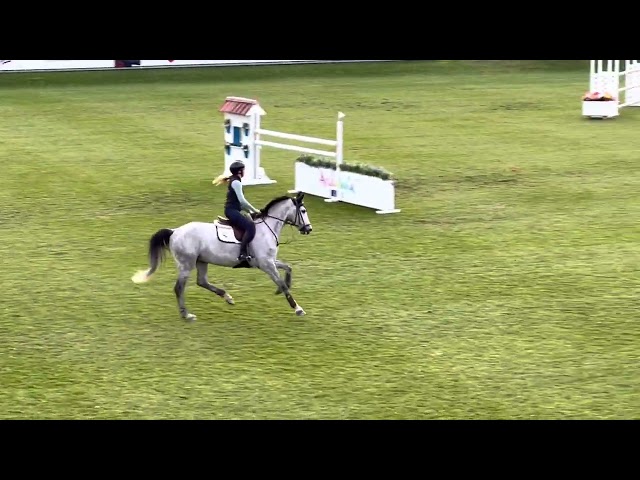 Lannebel ( Comme il Faut x Argentinus)