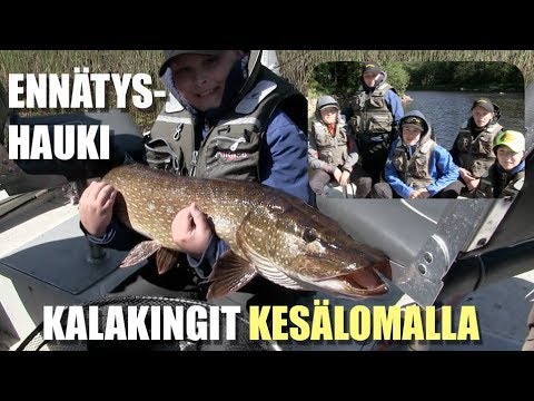 Kalakingit kesälomalla - Ennätyshauki SpiTube Flashilla - Ahvenen jigaus - Perhohokalastus