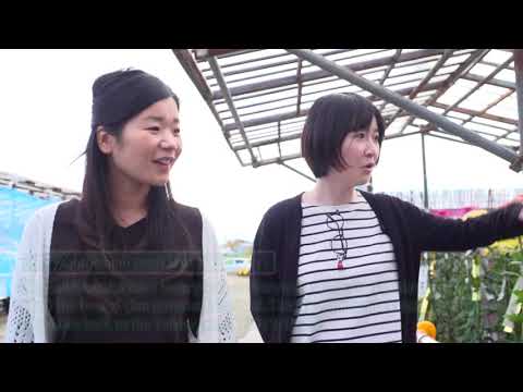 The four seasons of Nanyo