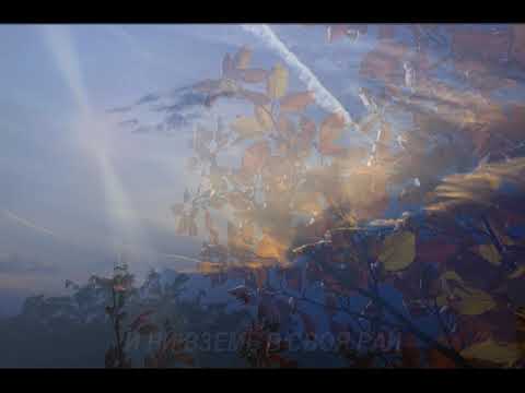 СИЛА ДАЙ! И ДРЪЖ МЕ ТИ!