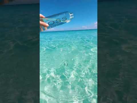 The clearest water in the world! Grace Bay Beach, Turks and Caicos 🇹🇨