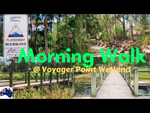 Morning Walk @ Voyager Point Wetland NSW Australia
