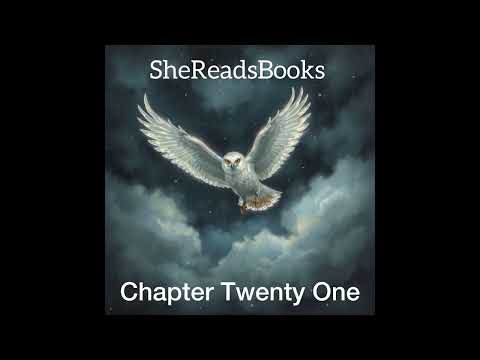 Harry Potter and the Deathly Hallows Chapter Twenty One | Audiobook