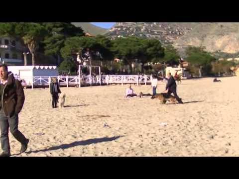 domenica a mondello export