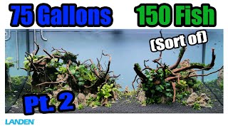 150 Nano Fish Paradise pt 2 - Planting & FISH! | 75 Gallon Aquascape