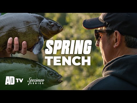 Spring Tench Fishing – Phil Spinks Specimen Series