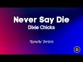 Dixie Chicks - Never Say Die (Karaoke)