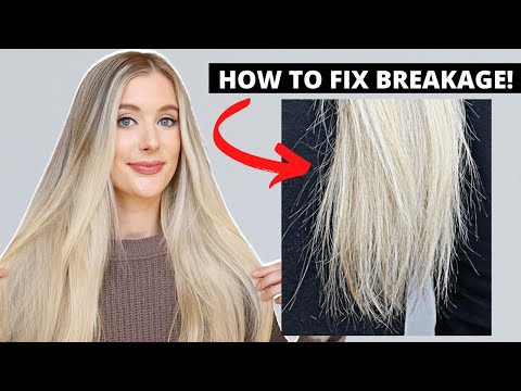 How to Fix Hair Breakage- Damaged Hair to Healthy Hair Care Tips