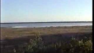 CAT POWER Taking People