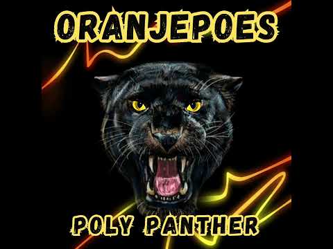 Oranjepoes - Poly Panther
