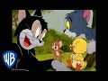 Tom & Jerry | Best Side Characters | Classic Cartoon Compilation | WB Kids